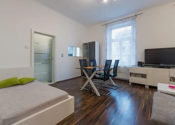 Spacious In Center With Terrace * فيينا
